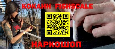 индика Можга