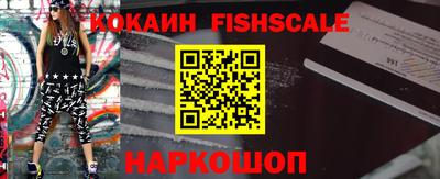 индика Можга