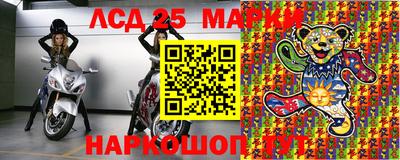 индика Можга