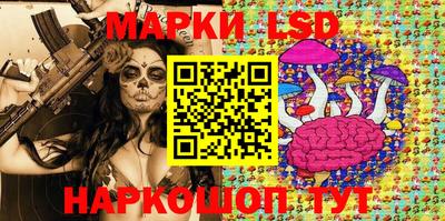 индика Можга