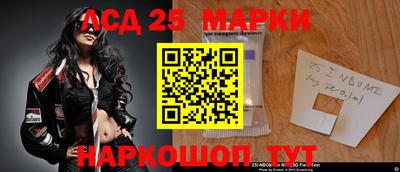 индика Можга
