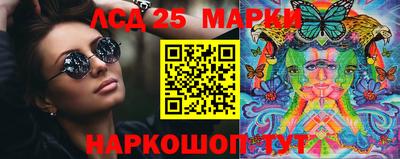 индика Можга