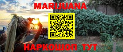 индика Можга