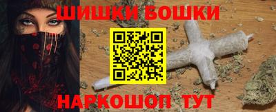индика Можга