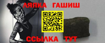 индика Можга