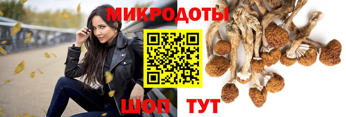 Соль-Илецк  Псилоцибиновые грибы ЛСД  закладки  Вход с VPN 